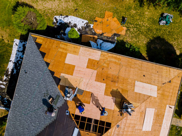 Best Storm Damage Roof Repair  in Shawano, WI
