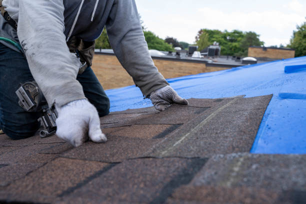 Best Storm Damage Roof Repair  in Shawano, WI